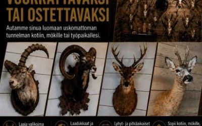 Trofeita kierrätykseen